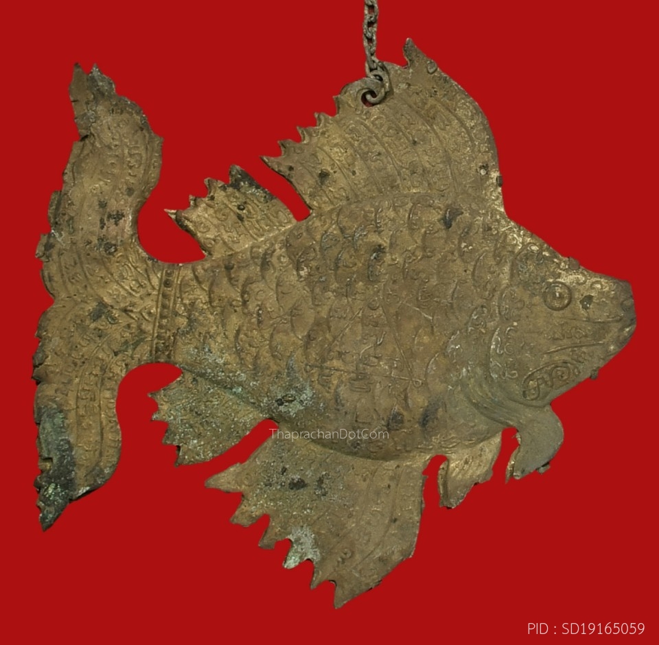 My Image 48