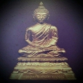 โอ๋ คลอง4 ( 2 )