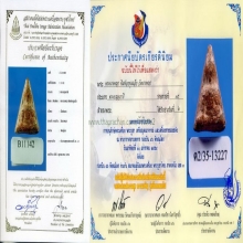 นางพญา อกนูนเล็ก