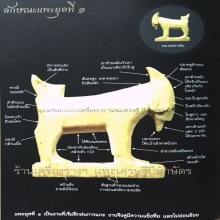 ขายหนังสือแพะเศรษฐี หลวงปู่อ่ำ วัดหนองกะบอก วัดจัดสร้าง