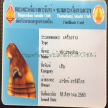 เสือหลวงพ่อปาน วัดคลองด่าน