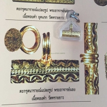 ตะกรุดนารายณ์แปลงรูป อ.นอง เนื้อทองคำ(ลายมะเฟือง)