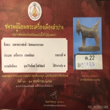 แพะหลวงพ่ออ่ำ ติดรางวัลที่ 1