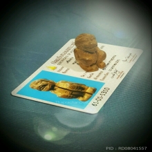 หนุมานหน้าโขน ล.พ.สุ่น ว.ศาลากุน