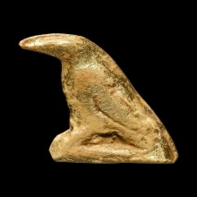 นกสาริกาหลงรังเดียว(สาริกาจับปากโลง)หลวงพ่อสนิท วัดลำบัวลอย