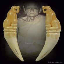 เสือสมิง หลวงพ่อคง วัดวังสรรพรส