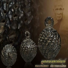 หลวงพ่อคงวัดบางกระพ้อม