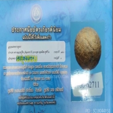 ลูกอมผงพรายกุมาร​ หลวงปู่ทิม​ วัดระหารไร่