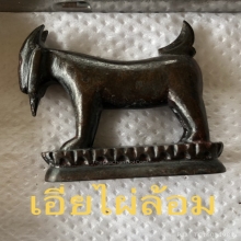 ราชาแห่งแพะหลวงปู่อ่ำศิลป์ปลัดเจริญตัวครูไซร์ใหญ่พิเศษ