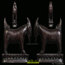 ราชาแห่งแพะหลวงปู่อ่ำศิลป์ปลัดเจริญตัวครูไซร์ใหญ่พิเศษ