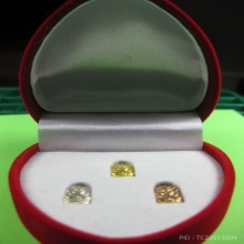 พระนาคปรกใบมะขาม วัดอนงค์ ชุดกรรมการปี 2555