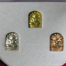 พระนาคปรกใบมะขาม วัดอนงค์ ชุดกรรมการปี 2555