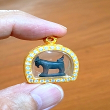 แพะหลวงพ่ออ่ำ วัดหนองกระบอก