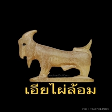 ๙แพะหลวงพ่อลัด วัดหนองกระบอก บรามั่นเขาเผือกสวยแชมป์๙