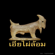 ๙แพะหลวงพ่อลัด วัดหนองกระบอก บรามั่นเขาเผือกสวยแชมป์๙