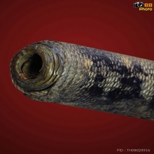  ThaprachanDotCom 