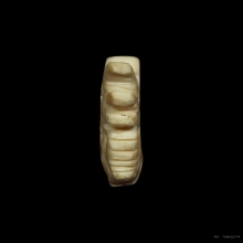 คชสีห์หลวงปู่เหรียญ วัดหนองบัว 1ในไม่กี่สิบตัว