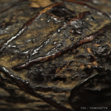 ๙๙ลูกอมด้ายสายสิญจน์หลวงปู่ยิ้ม วัดหนองบัว๙๙