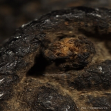 ตะกรุดหลวงพ่อทา วัดพะเนียงแตกTakrut LpTar WatPaniangtak