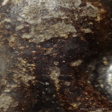 พระปิดตาหลวงปู่เฮี้ยง วัดป่าฯ พิมพ์สะดือใหญ่ เนื้อผงคลุกรัก