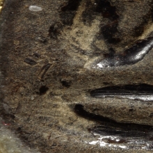 พระปิดตาหลวงปู่เฮี้ยง วัดป่าฯ พิมพ์สะดือใหญ่ เนื้อผงคลุกรัก