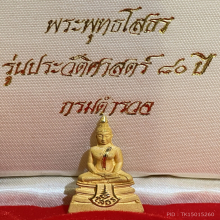 ลพ.โสธร เนื้อทองคำ กรมตำรวจ