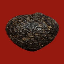 หมากทุยหลวงปู่เอี่ยม วัดหนัง ทรงหัวใจไก่นิยม