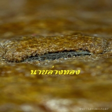 พระเนื้อชานหมาก หลวงปู่หน่าย พิมพ์ปรุหนัง​(สวยมาก)