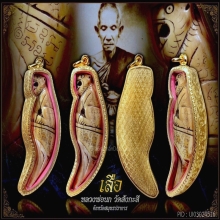 เสือหลวงพ่อนก วัดสังกะสี จ.สมุทรปราการ องค์ดารา!!
