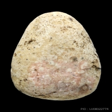 พระวัดพลับ พิมพ์พุงป่องเล็ก + ตลับทอง