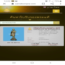 พระพุทธรูป สมัยอยุธยา ราชวงศ์บ้านพลูหลวง มีเซอร์สมาคมฯ