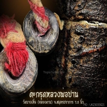 ตะกรุดหลวงพ่อปาน วัดคลองด่าน
