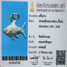 ปลาตะเพียนทอง​หลวงพ่อจง 