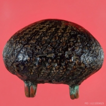 เบี้ยแก้ หลวงปู่บุญ วัดกลางบางแก้ว