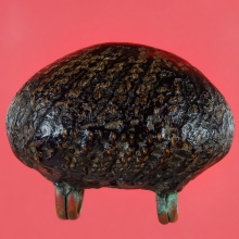 เบี้ยแก้ หลวงปู่บุญ วัดกลางบางแก้ว