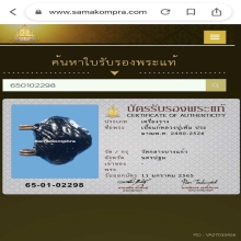 เบี้ยแก้หลวงปู่เพิ่ม วัดกลางบางแก้ว