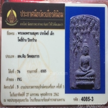 ปรกโพธิ์เล็ก ปีกกว้าง (นิยม)