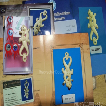 จิ้งจกคู่สดุ้งปี้ หลวงปู่หน่าย top ดารา