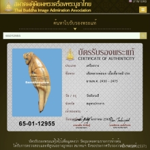 เสือหลวงพ่อ วัดสังกะสี  ยุคต้น 