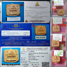 หลวงพ่อปาน ทรงปลากัดสวย6แชมป์งานใหญ่ที่1แจ้งวัฒนะที่1สามพราน