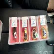 พระปิดตา หลวงปู่จีน วัดท่าลาด 