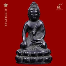 เบญจภาคี เสือมหาอำนาจ หน้าแมวใจดีมีแต่ลาภ