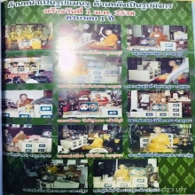 พ่อปู่เจ้ายี่กอฮง เนื้อทองคำ ปี2538