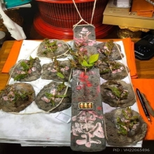 เหรียญจำปี วัดจุฬามณี ปี61 ตะกั่วดิบหน้ากากทองคำ #จารเต็ม