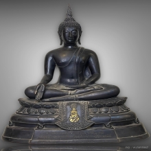 ภปร08 ตรงปี