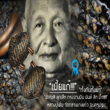 “เบี้ยแก้” หลวงปู่เพิ่ม วัดกลางบางแก้ว จ.นครปฐม
