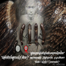 “ปลัดขิก” (ก้นลูกแก้ว) หลวงพ่อเหลือ วัดสาวชะโงก จ.ฉะเชิงเทรา