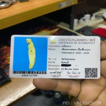 เสือหลวงพ่อคง วัดวังสรรพรส