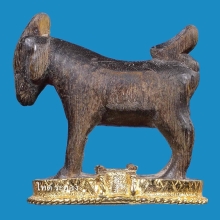 แพะ หลวงพ่ออ่ำ วัดหนองกะบอก จ.ระยอง