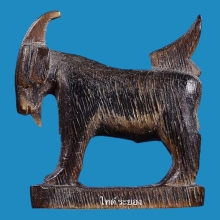 แพะ หลวงพ่ออ่ำ วัดหนองกะบอก จ.ระยอง